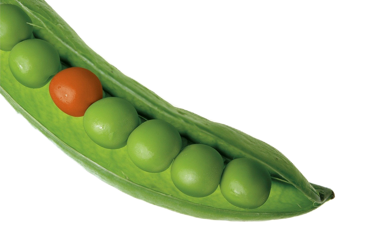 Peas
