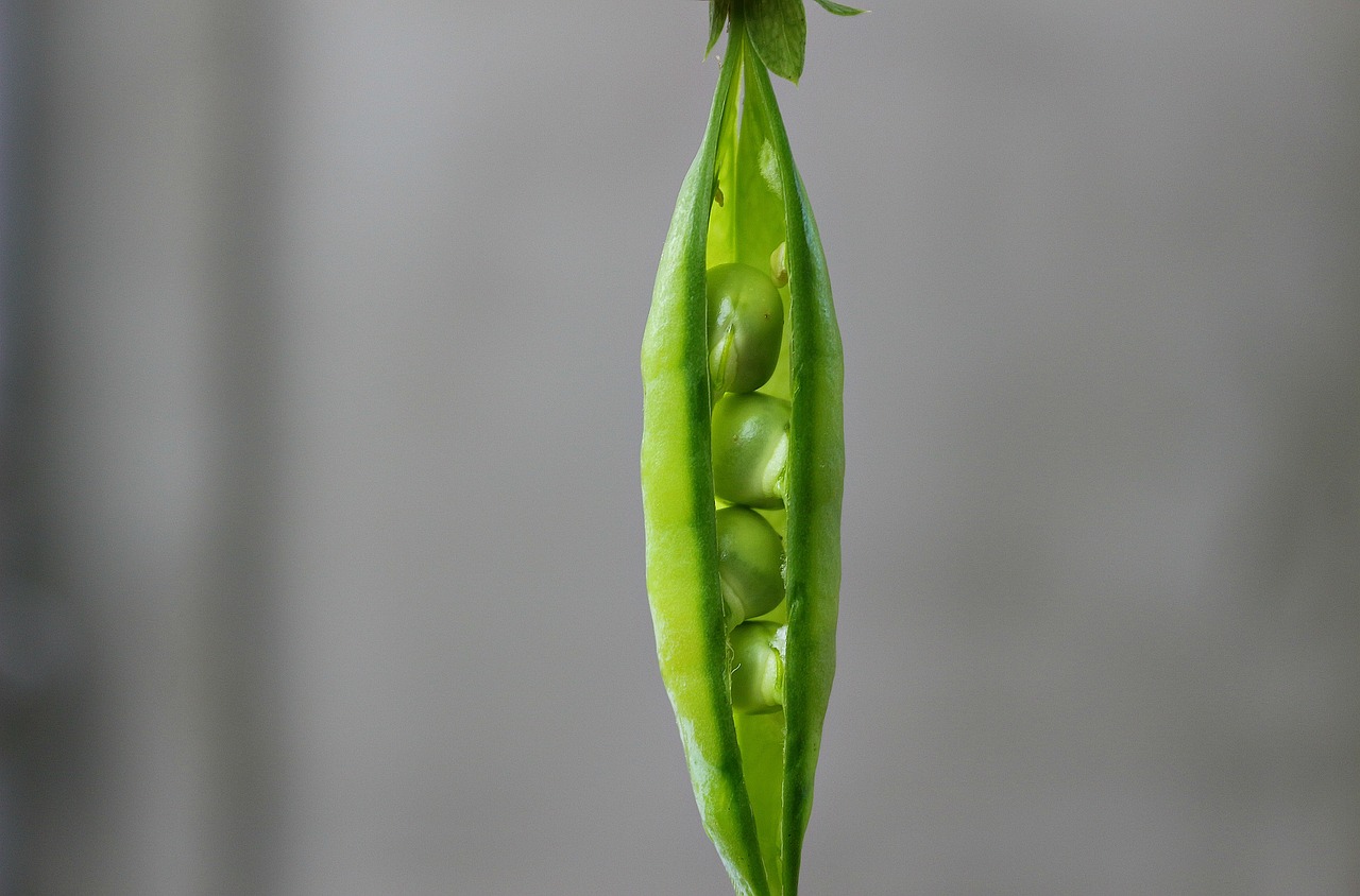 Peas