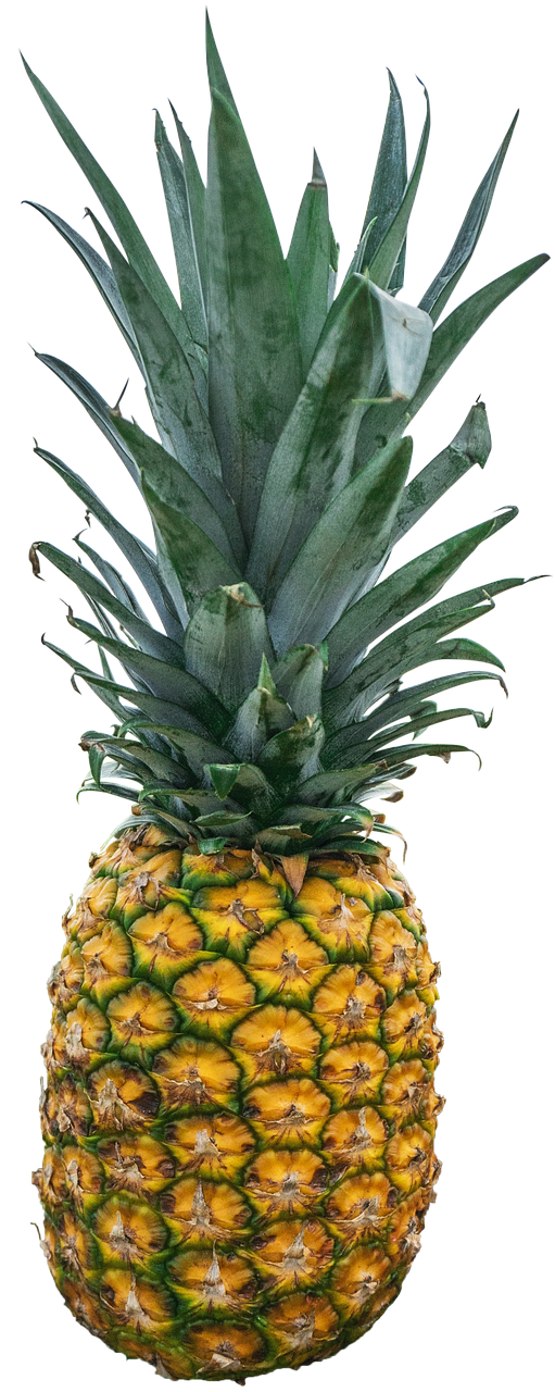 Pineapple