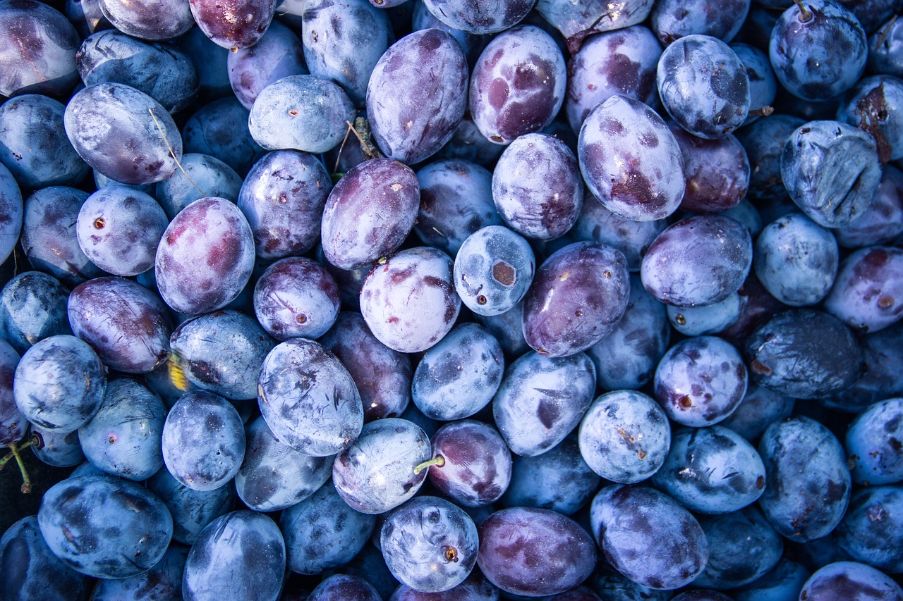 Plum