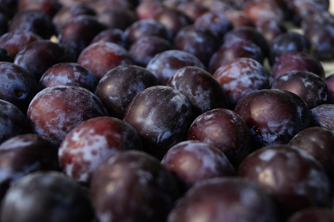 Plum