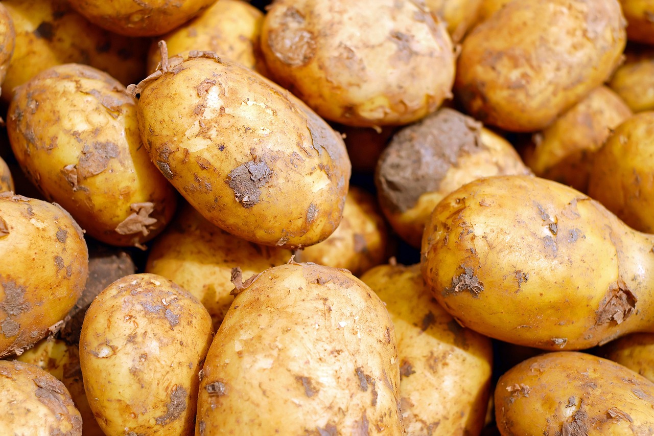 Potato