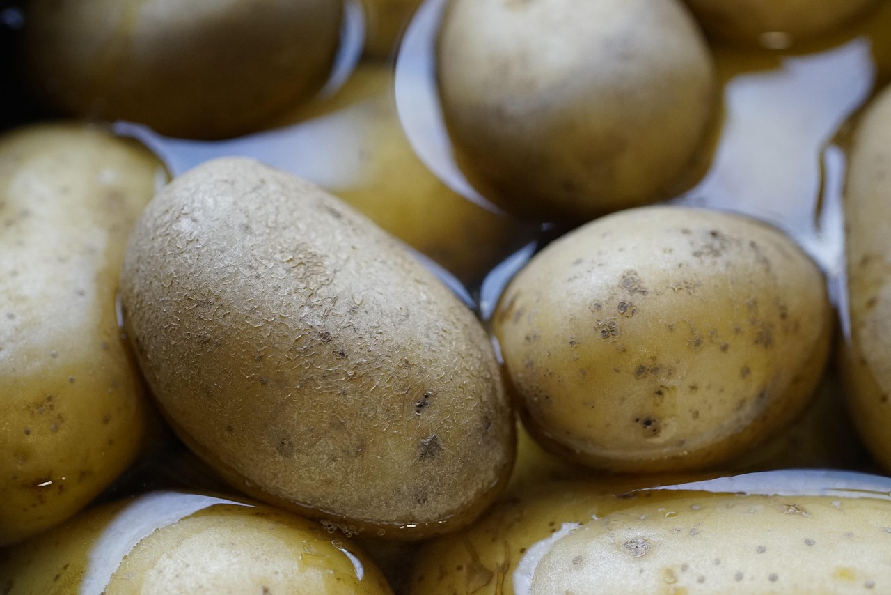 Potato
