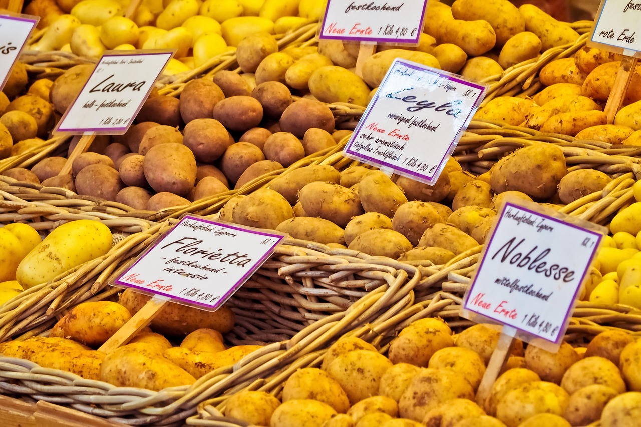 Potato