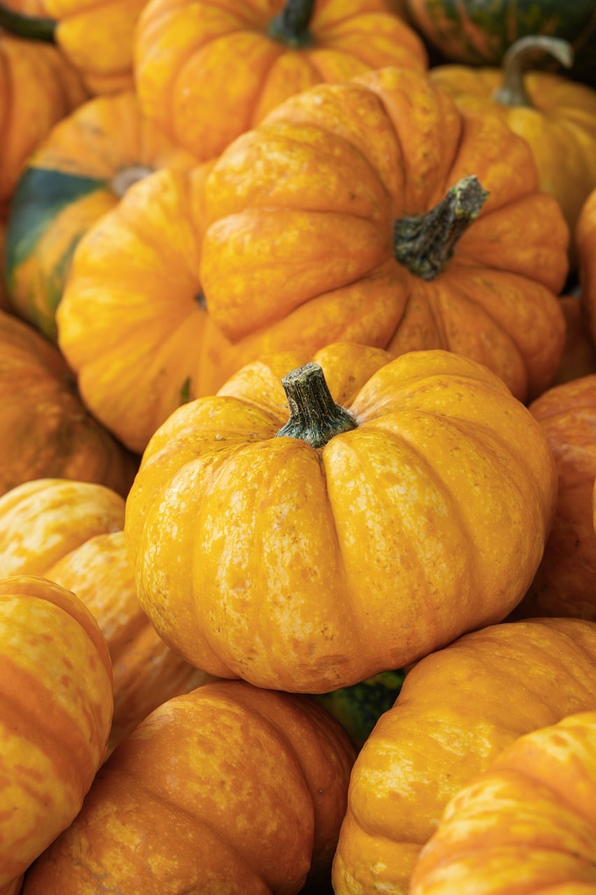 Pumpkin