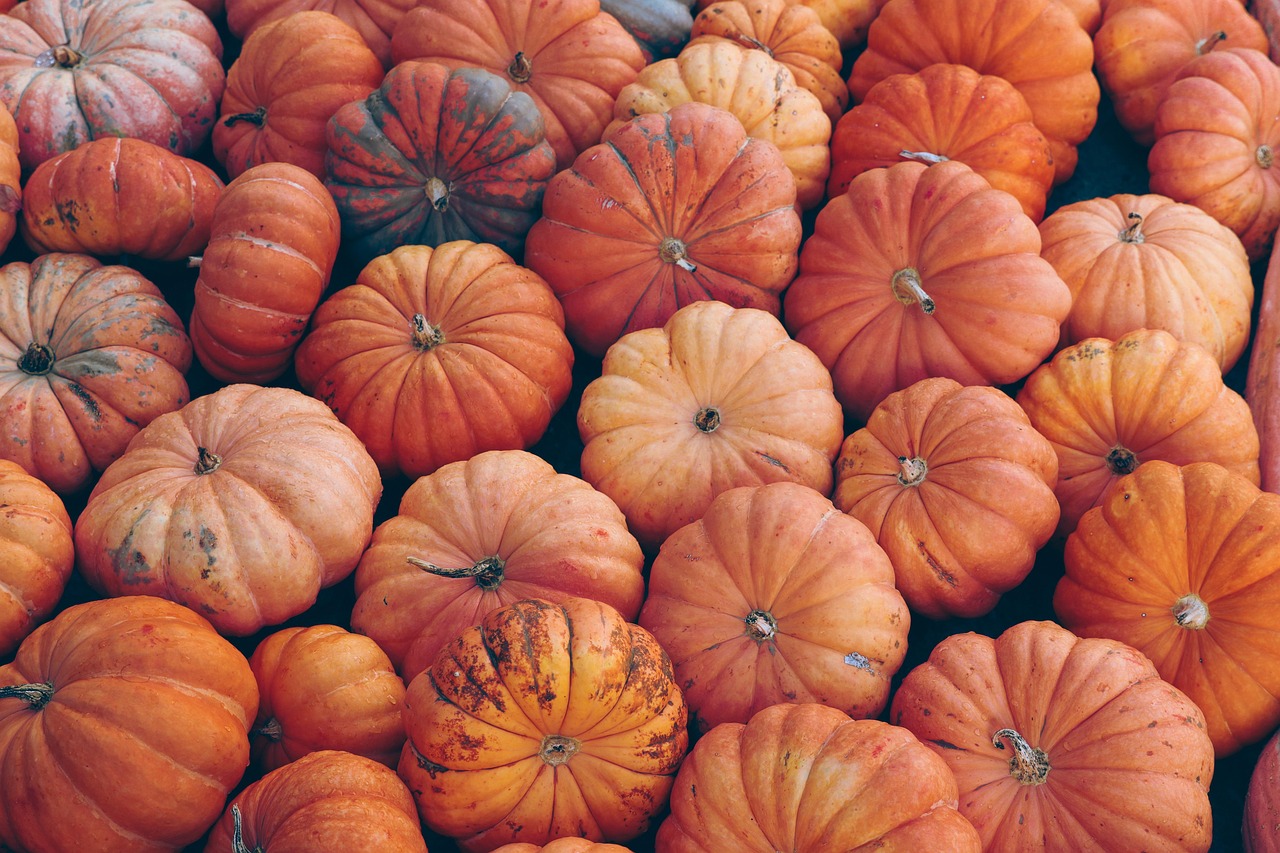 Pumpkin