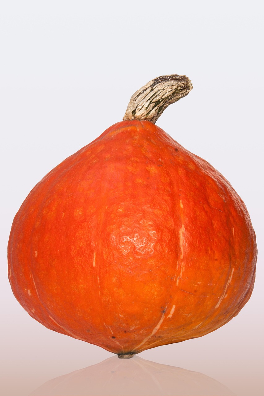 Pumpkin