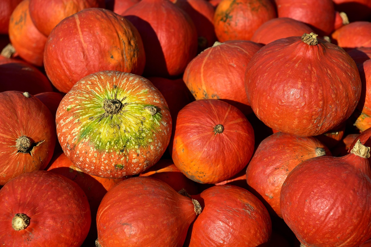 Pumpkin