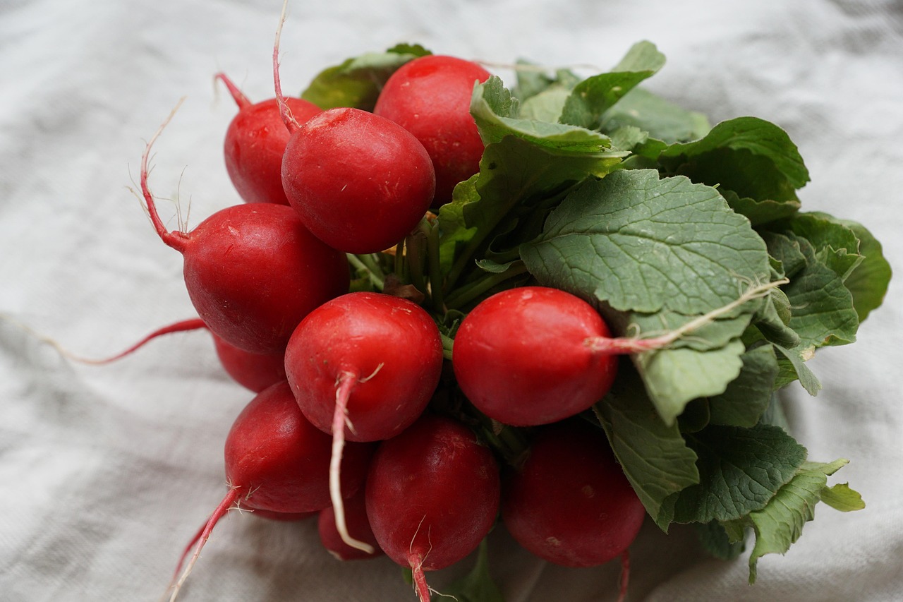 Radish