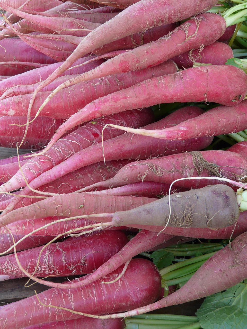 Radish