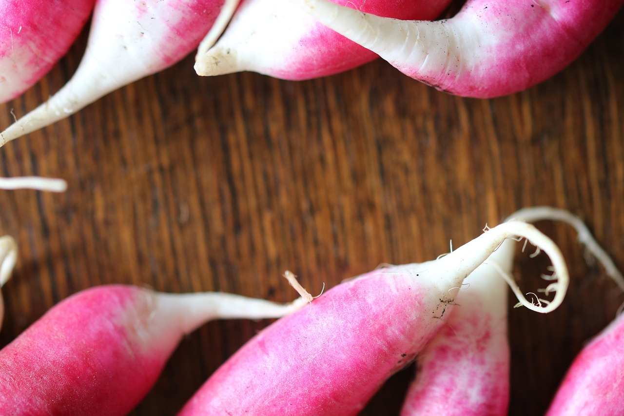 Radish