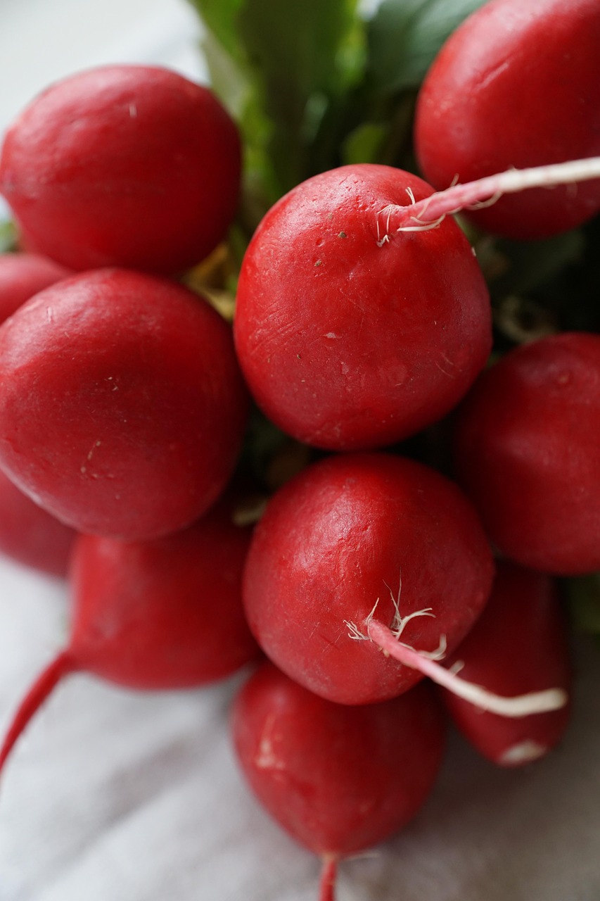 Radish