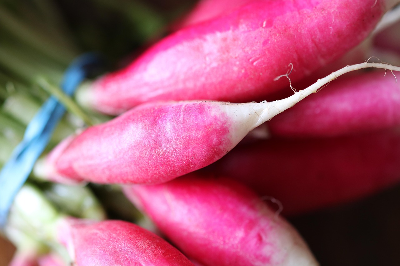 Radish