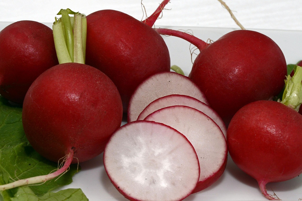 Radish