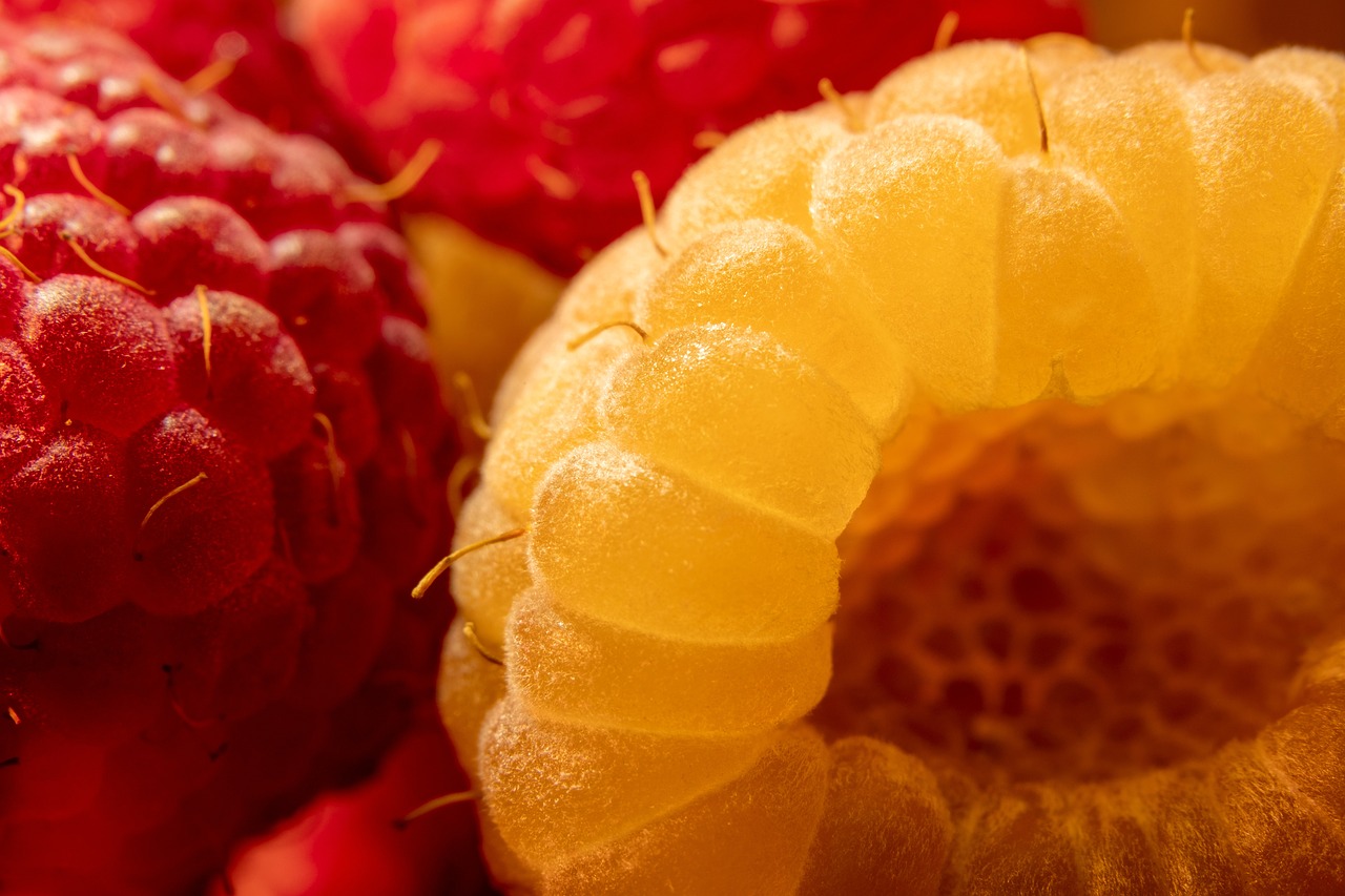 Raspberry