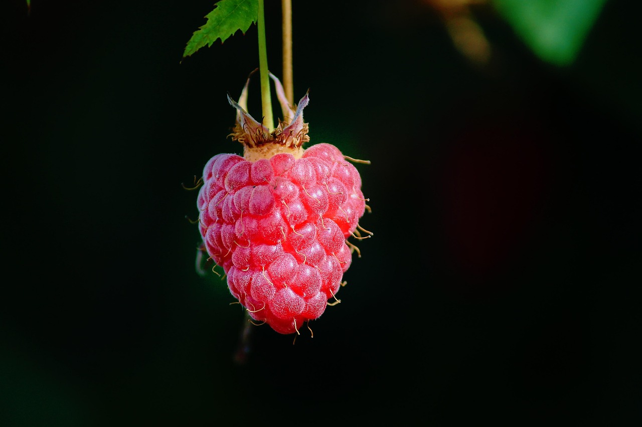 Raspberry