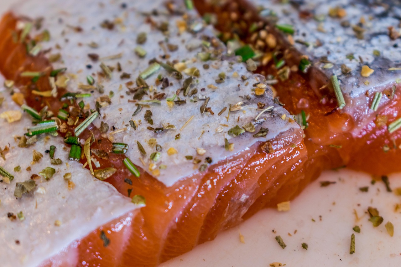 Salmon
