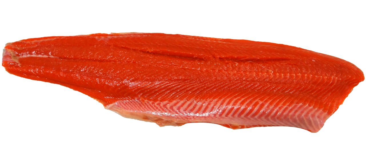 Salmon