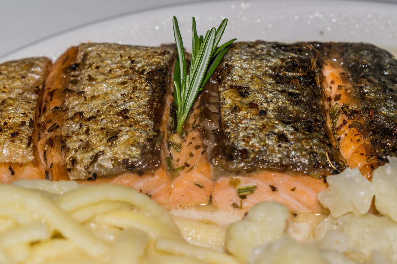 Salmon