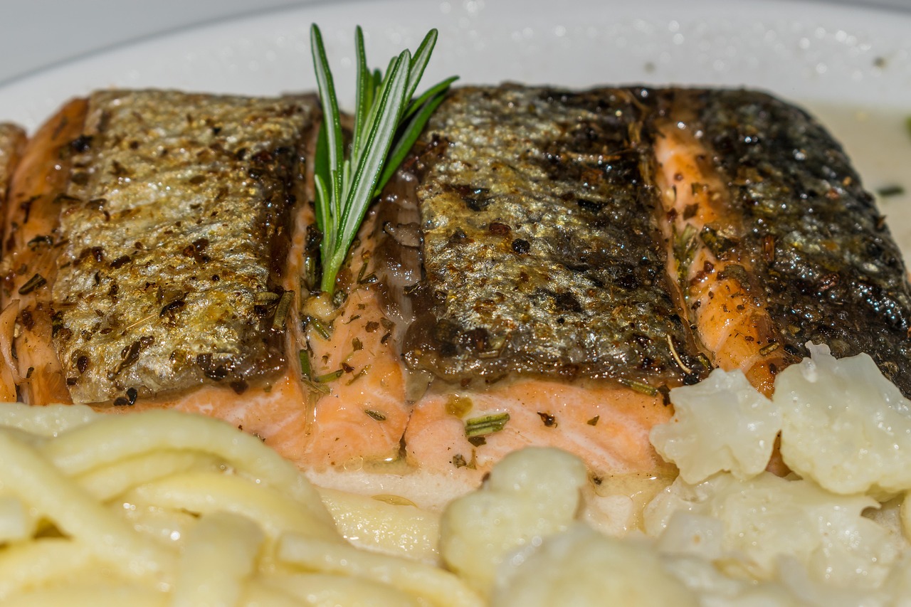 Salmon