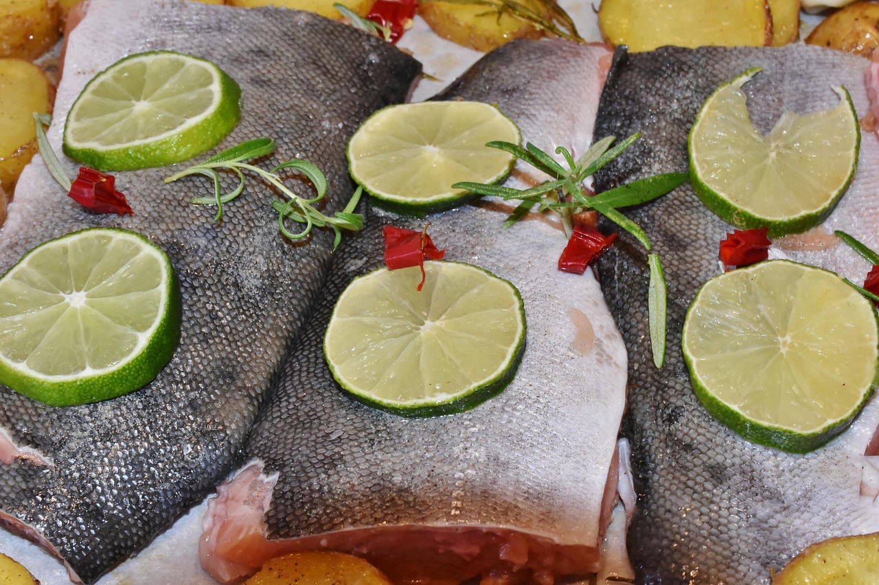 Salmon