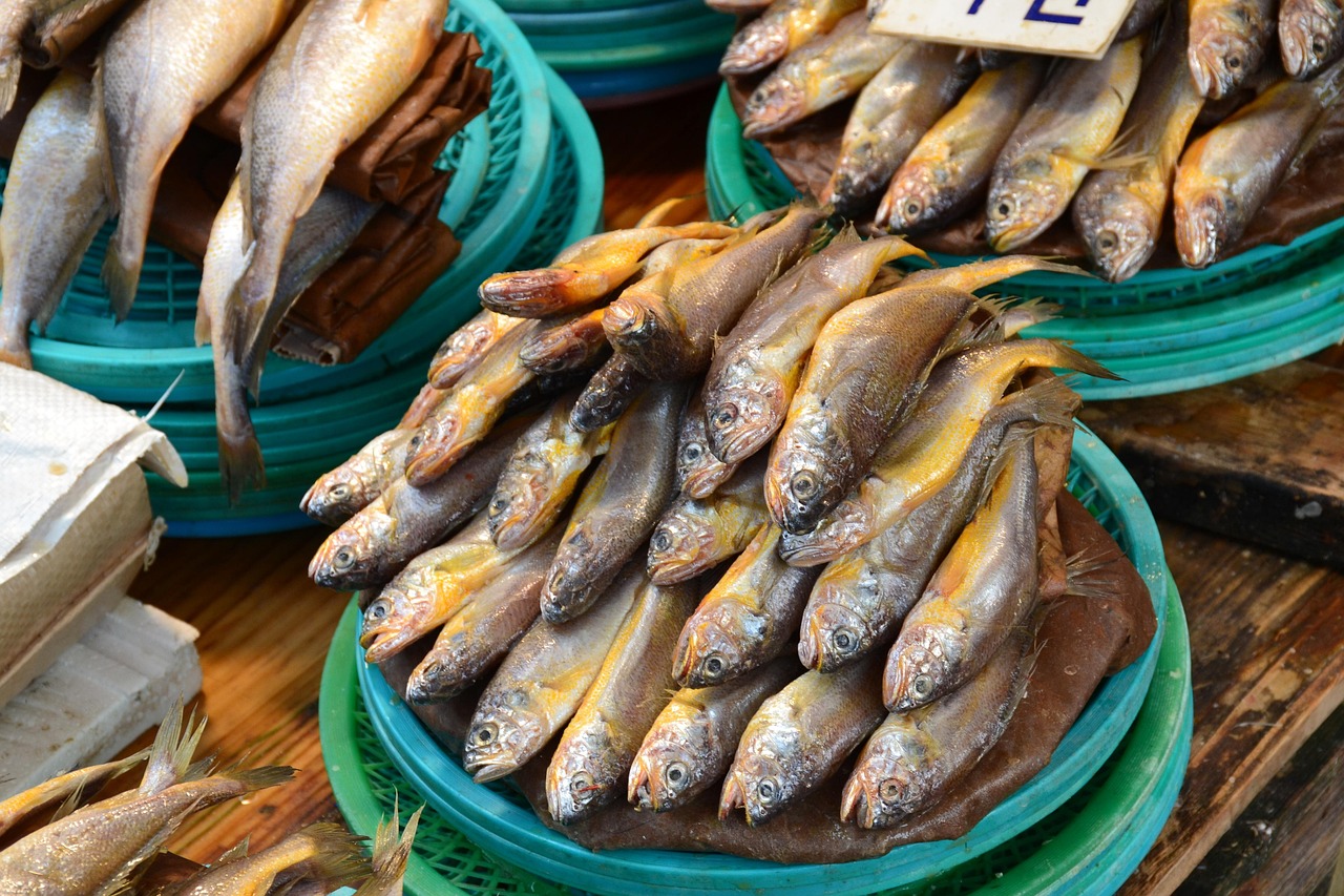 Sardine