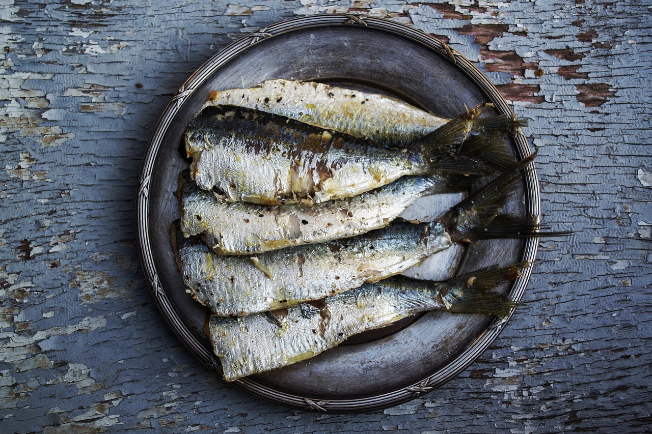 Sardine