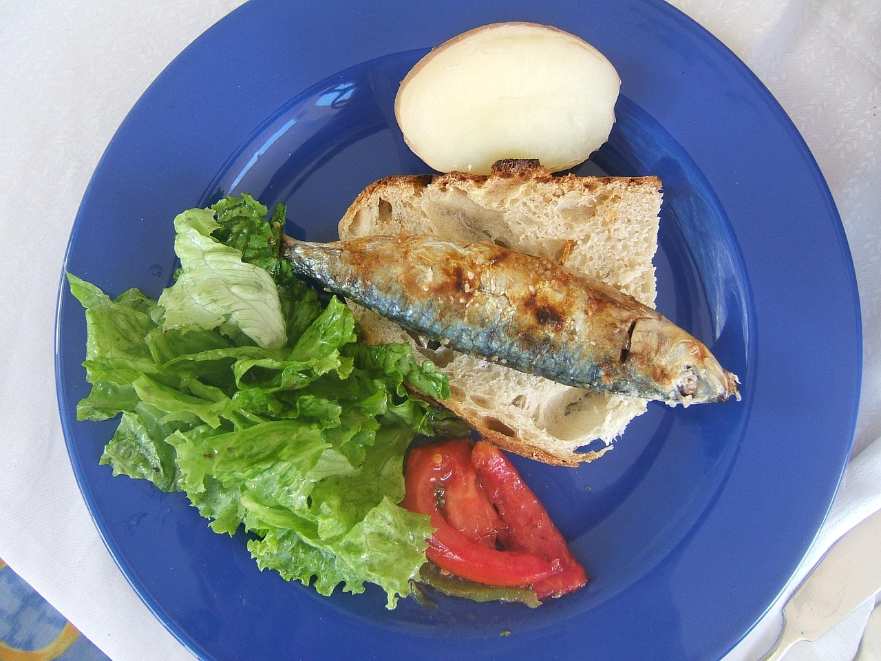 Sardine