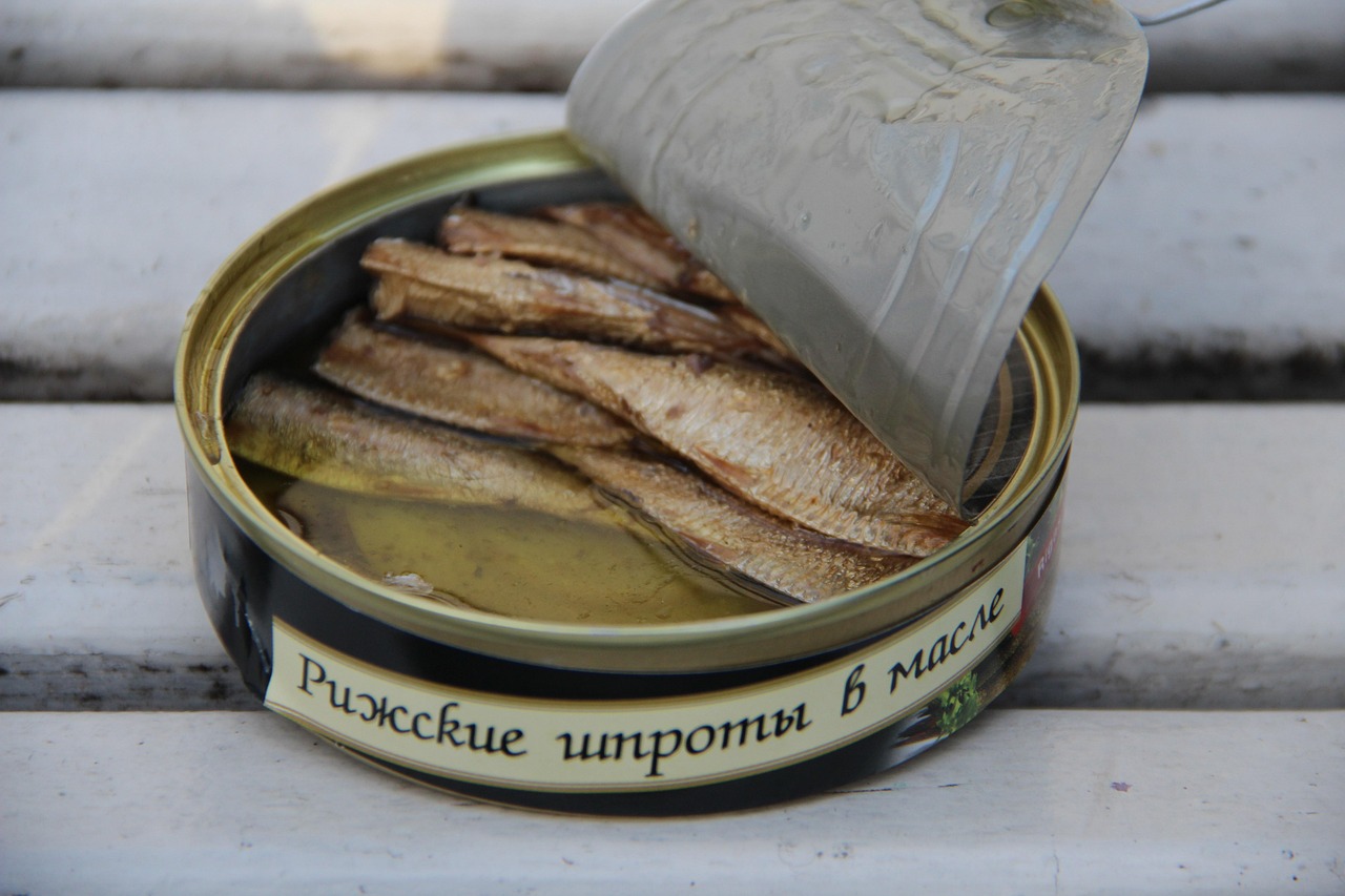 Sardine