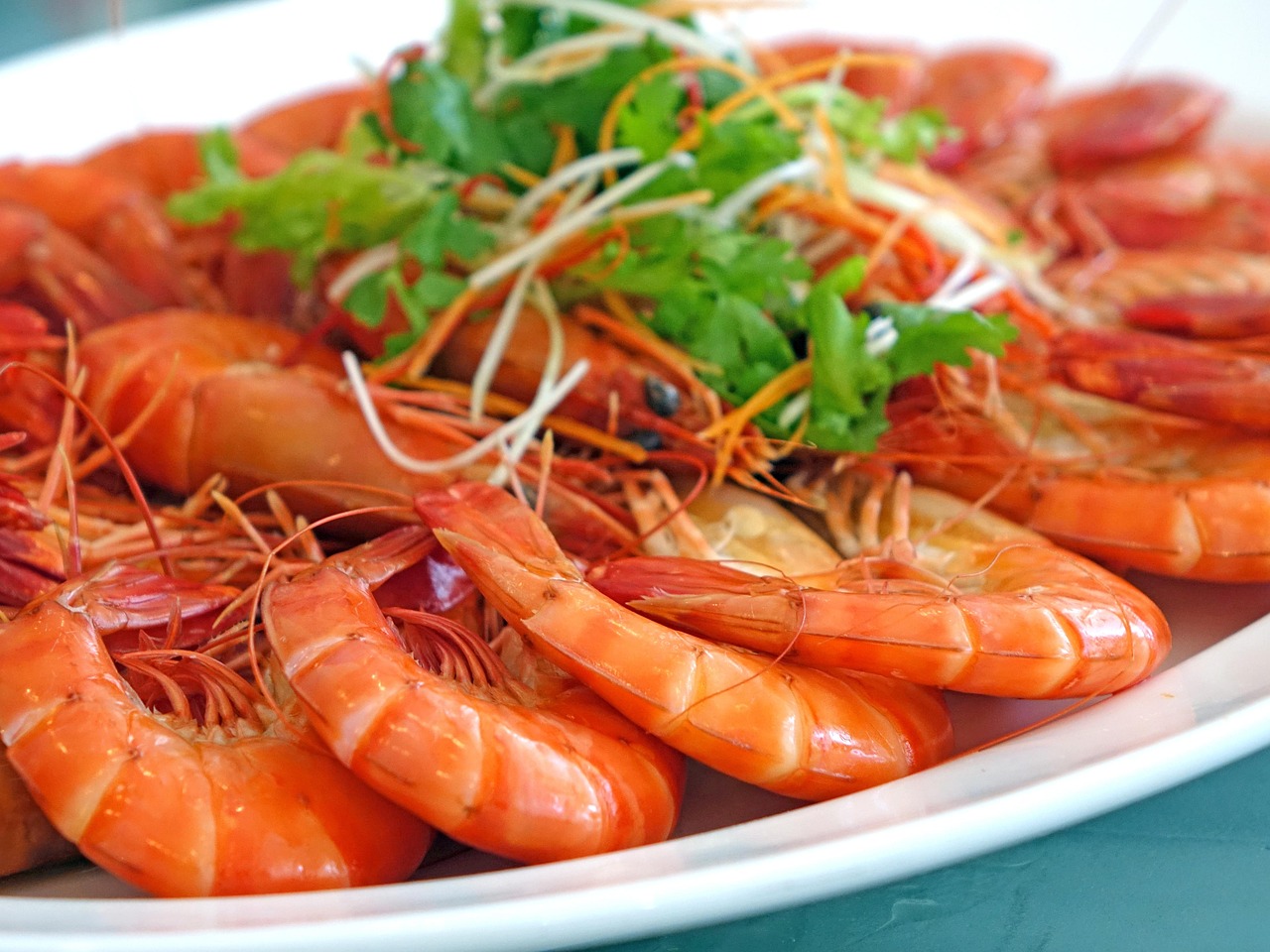 Shrimp