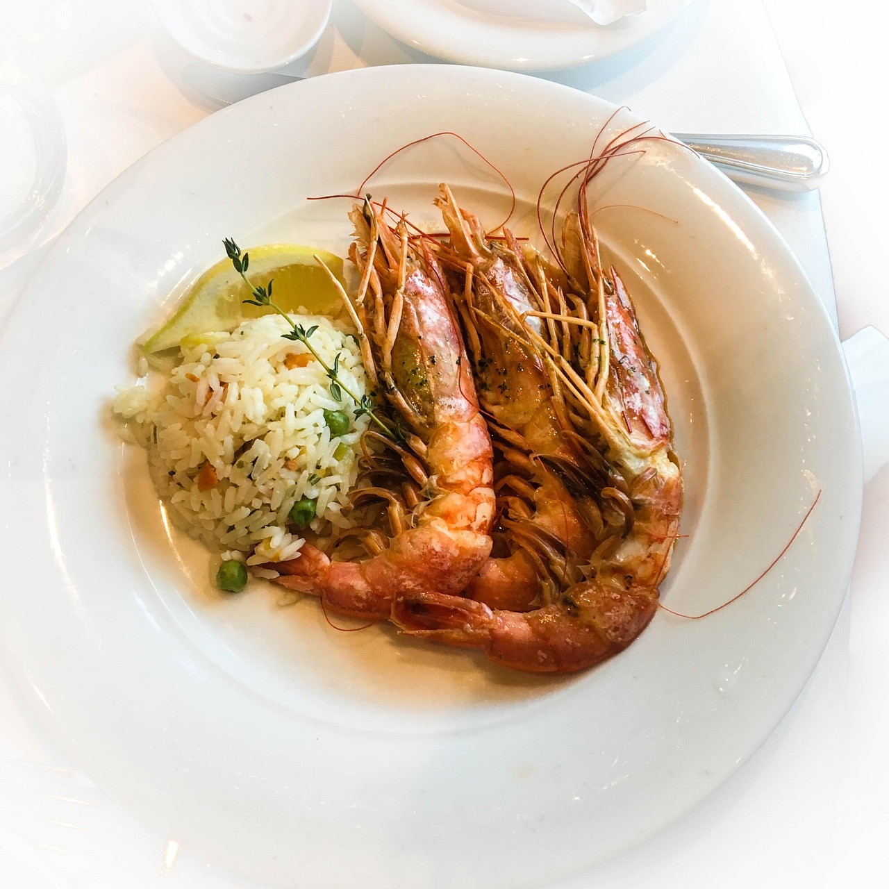 Shrimp