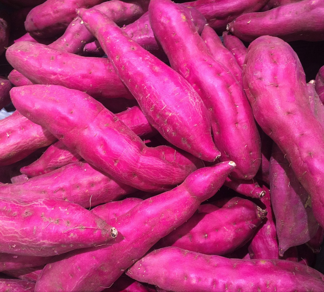 Sweet Potato