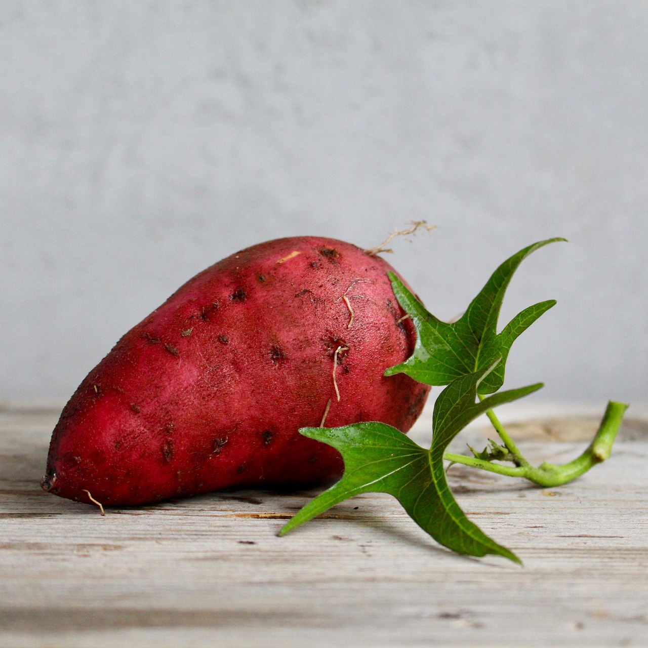 Sweet Potato