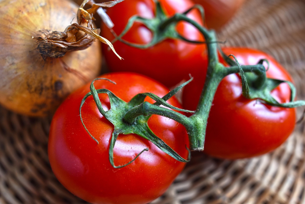 Tomato
