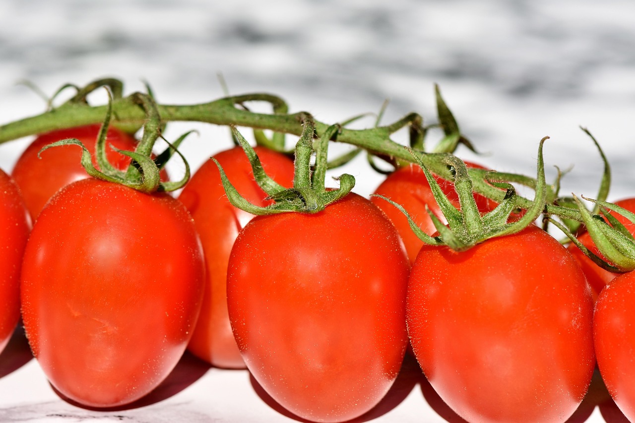 Tomato