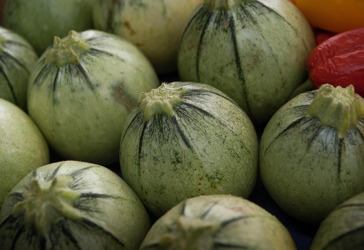 Zucchini
