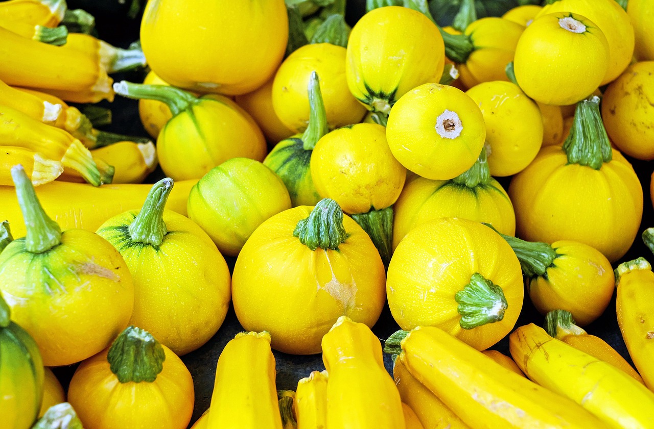 Zucchini