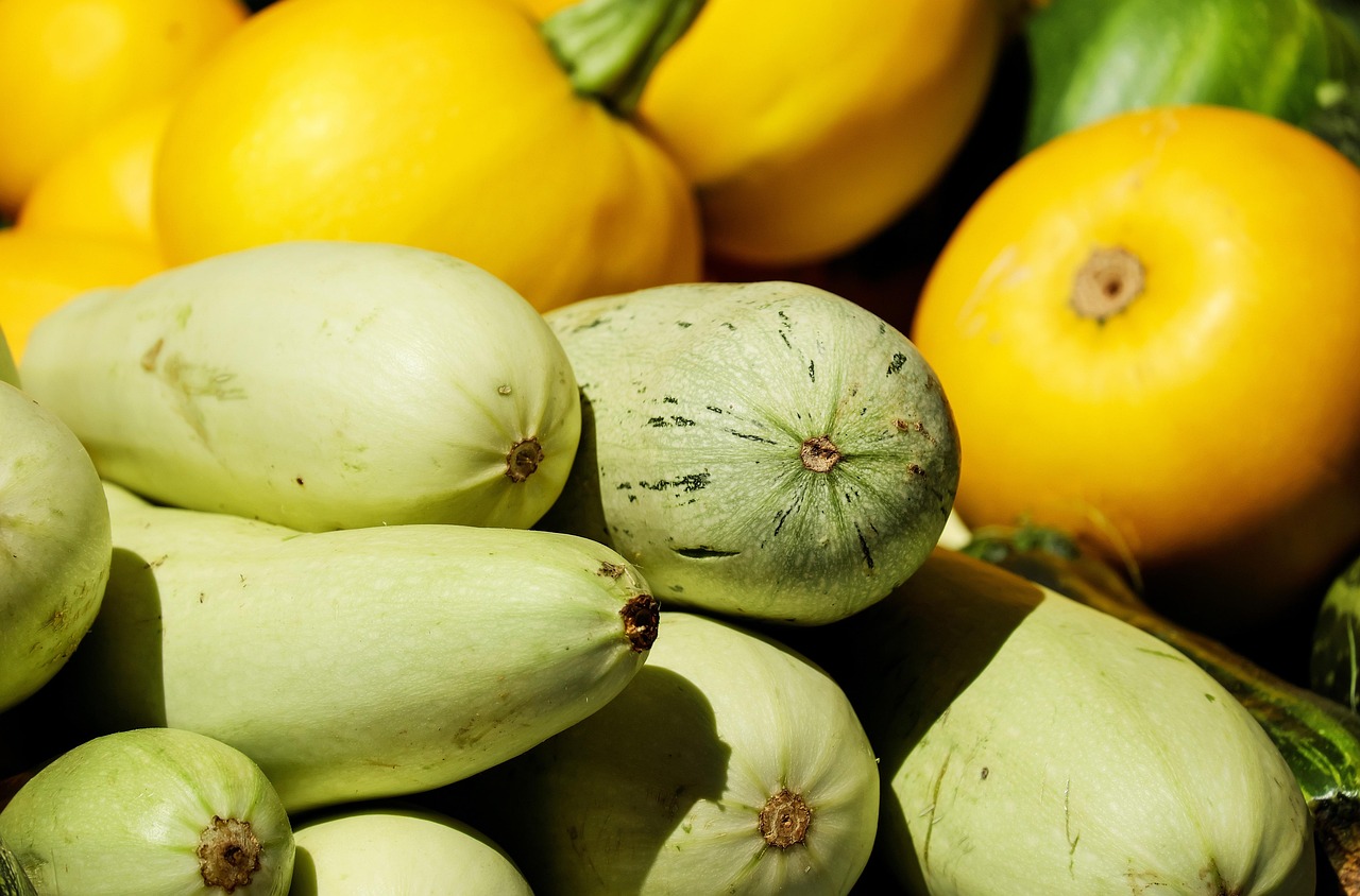 Zucchini