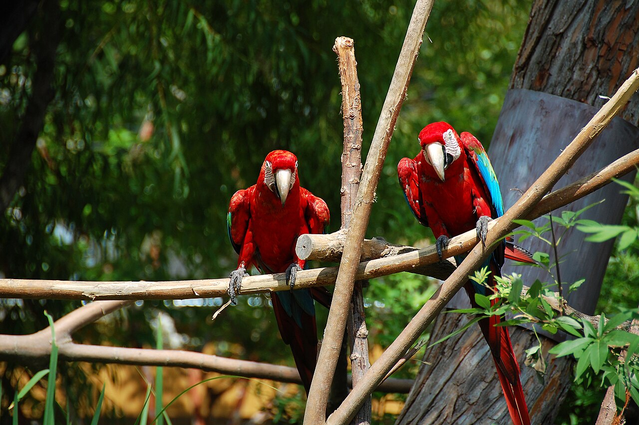 Birmingham Zoo