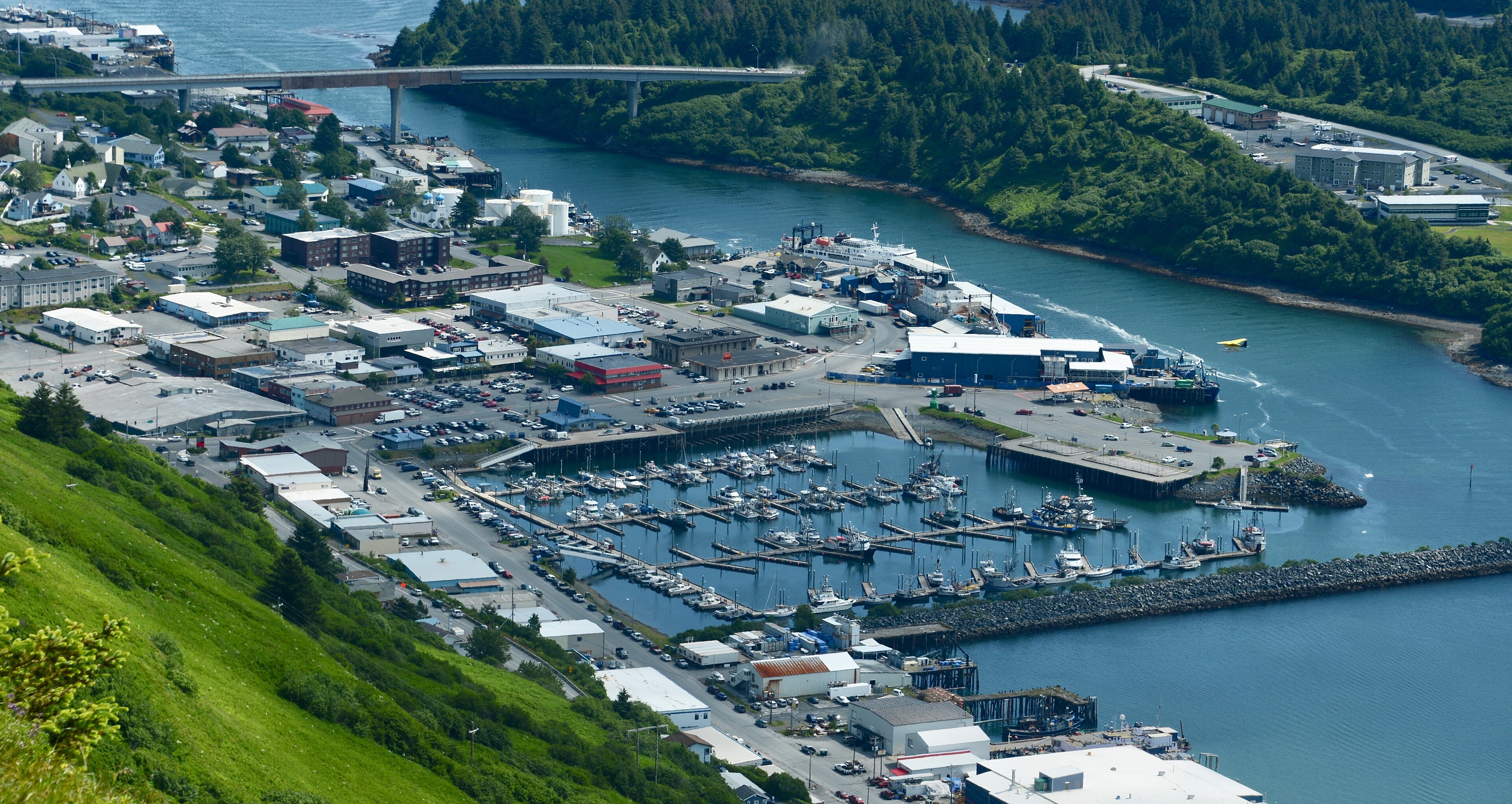 Kodiak