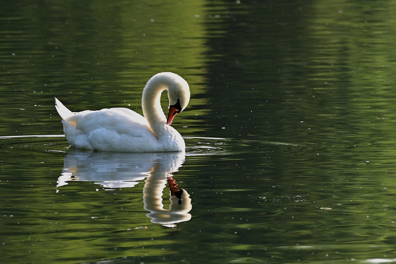 Lakes and parks