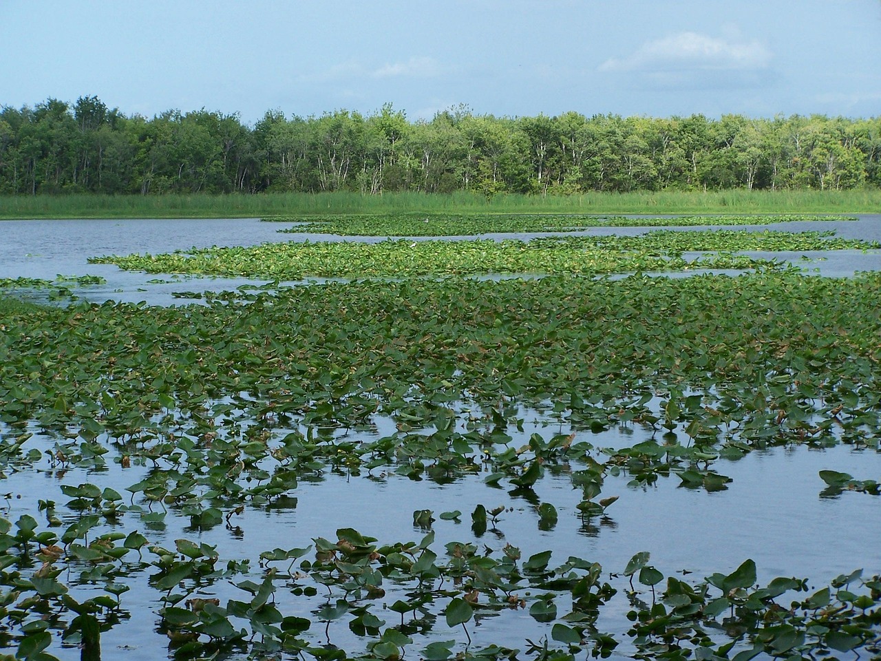 Port St. Lucie