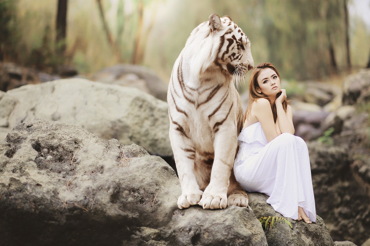 Lions, Tigers, and Other Wildlife
