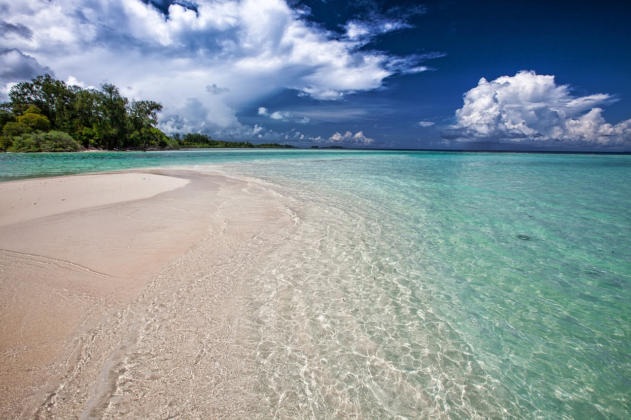 Weather and Ocean