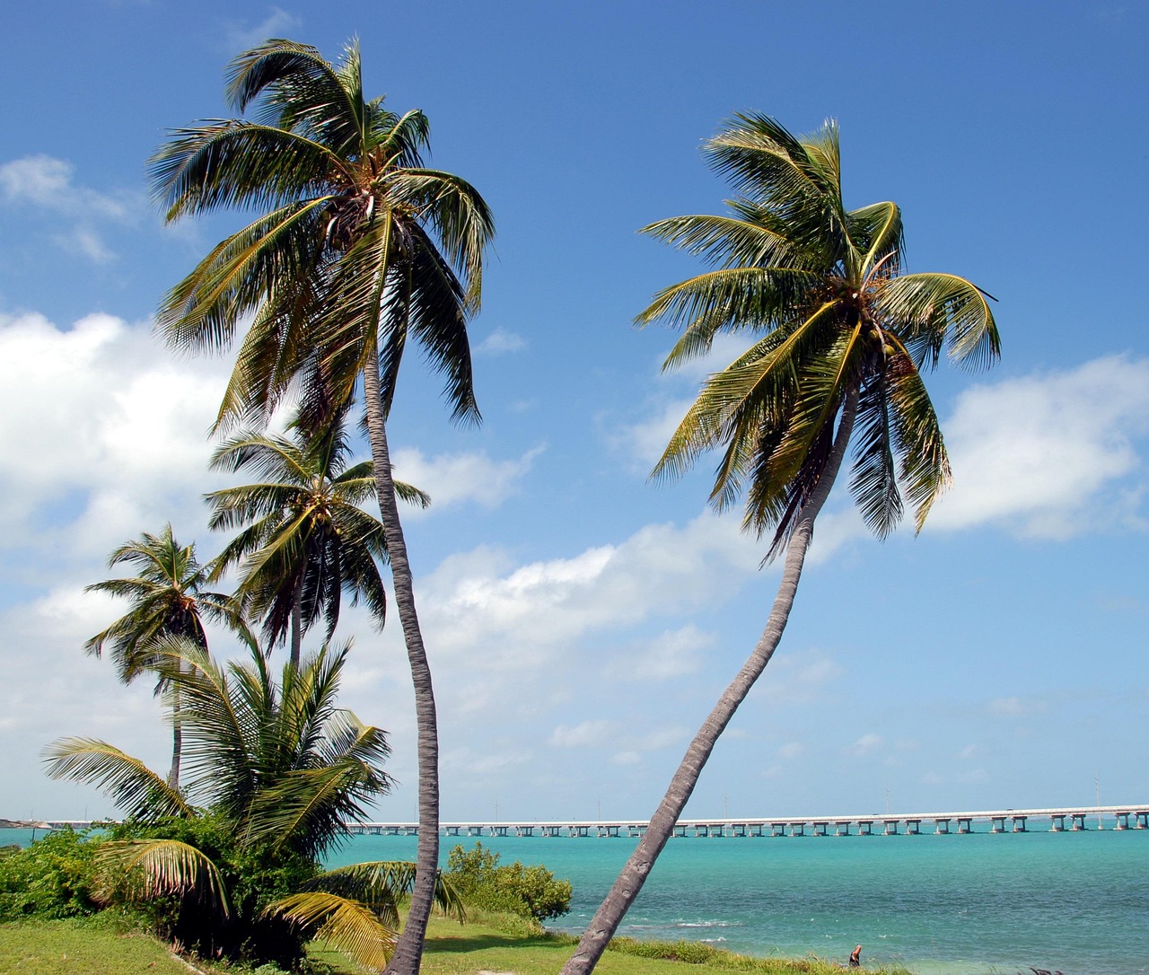 The Ocean and Beaches