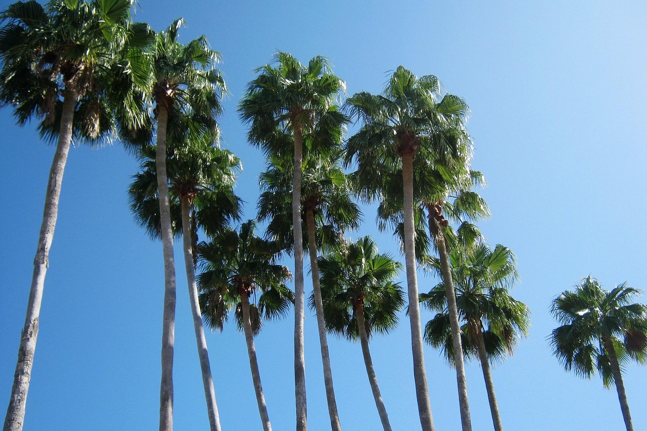 Warm Sunny Weather