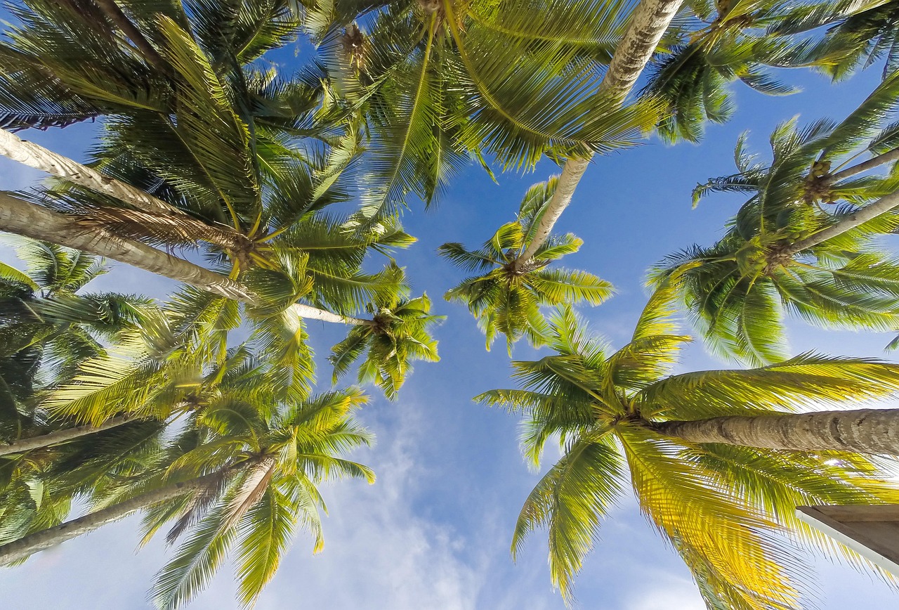 Florida Weather and Best Time to Visit