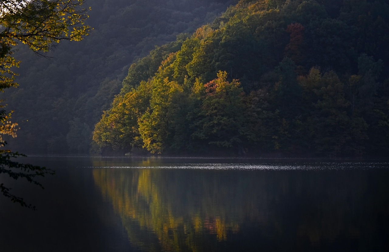 Land Between the Lakes