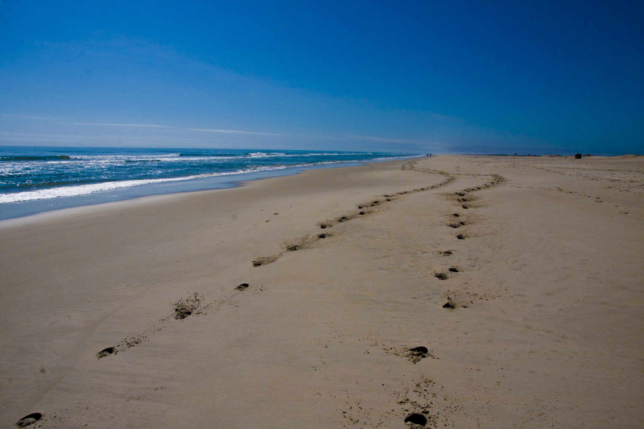 Assateague Island National Seashore