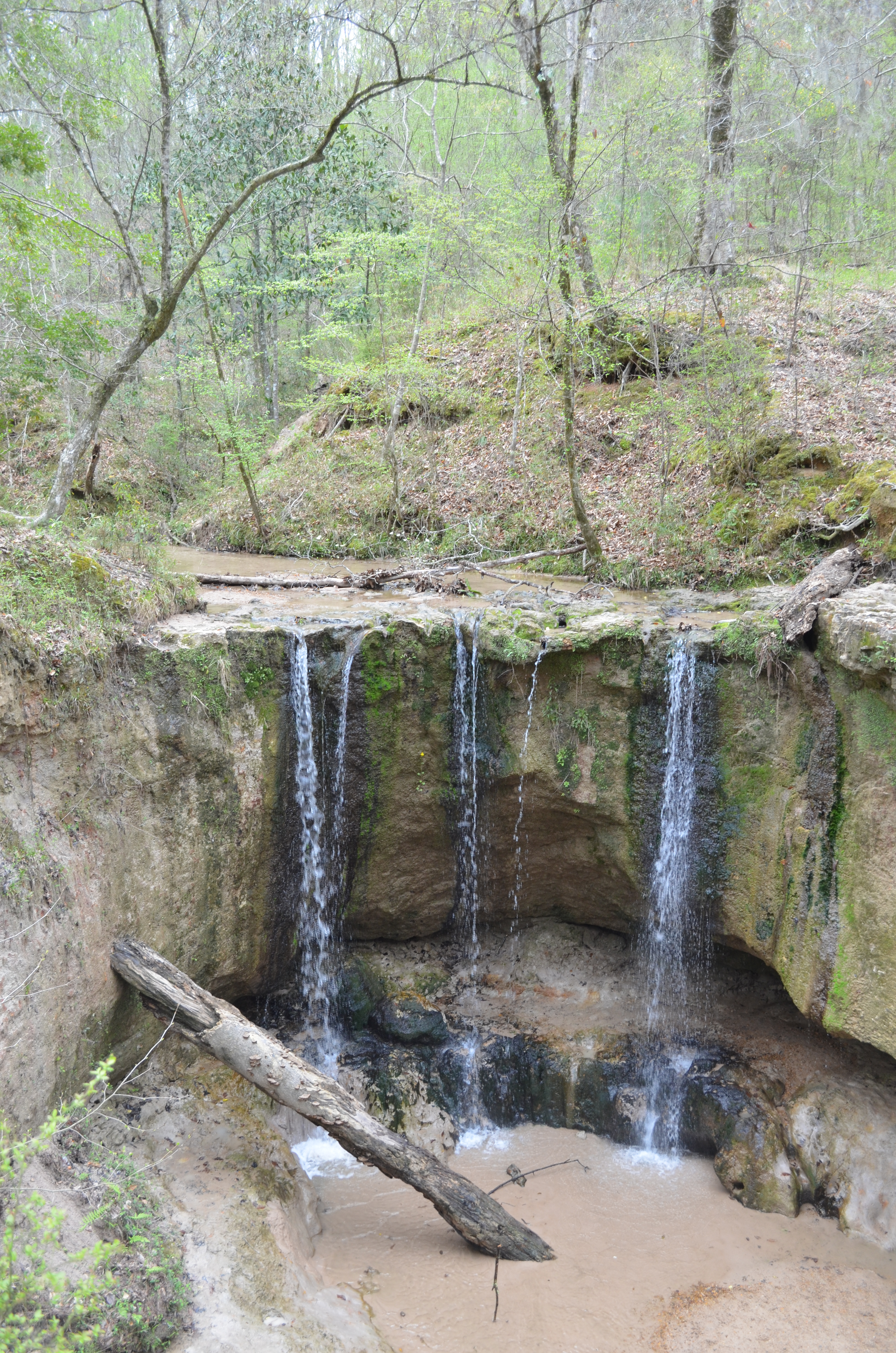 Clark Creek Natural Area
